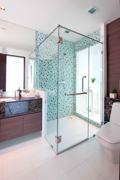 ไฟล์:202F8BCF090H-GS ฉากกั้นอาบน้ำบานเปลือย กระจกนิรภัย ไร้รูขุมขน แบบบานถาวรต่อกระจก 8 มม. เคลือบไ.jpg