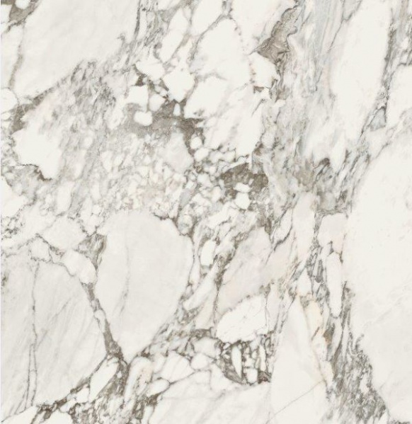 ไฟล์:58STONES & MORE 2.0 Arabescato White Glossy 120X120 cm. (6 mm.).jpg